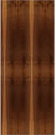 Custom Flush Walnut Doors