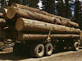 Hardwood lumber wholesale delivery